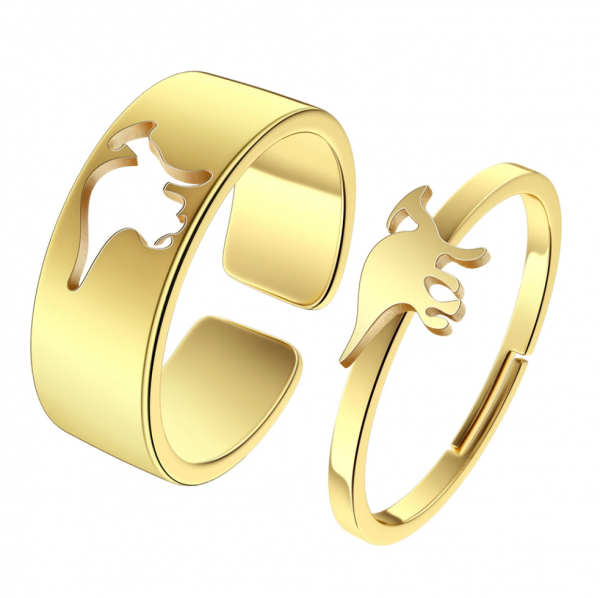 Anillo Pareja Parasaurolopus
