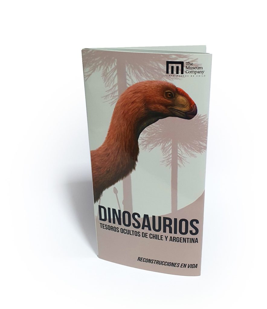 DINOSAURIOS: Tesoros ocultos de Chile y Argentina