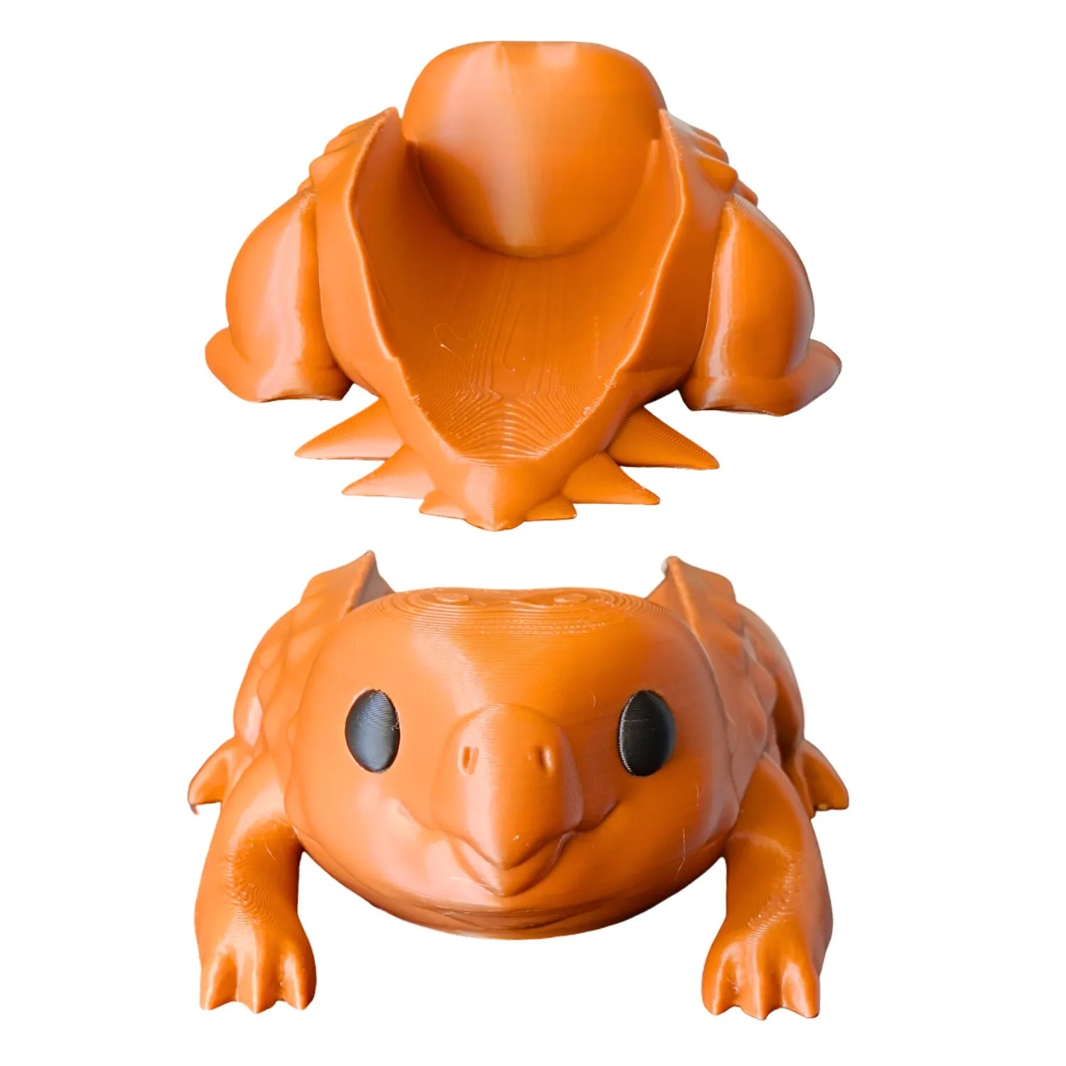 Portacompleto Stegouros - Imagen 4