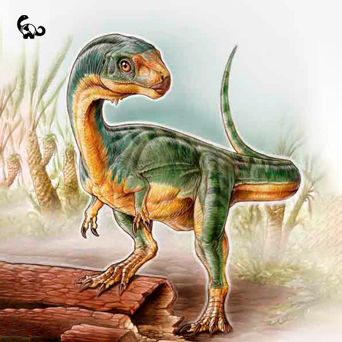 Chilesaurus_B2